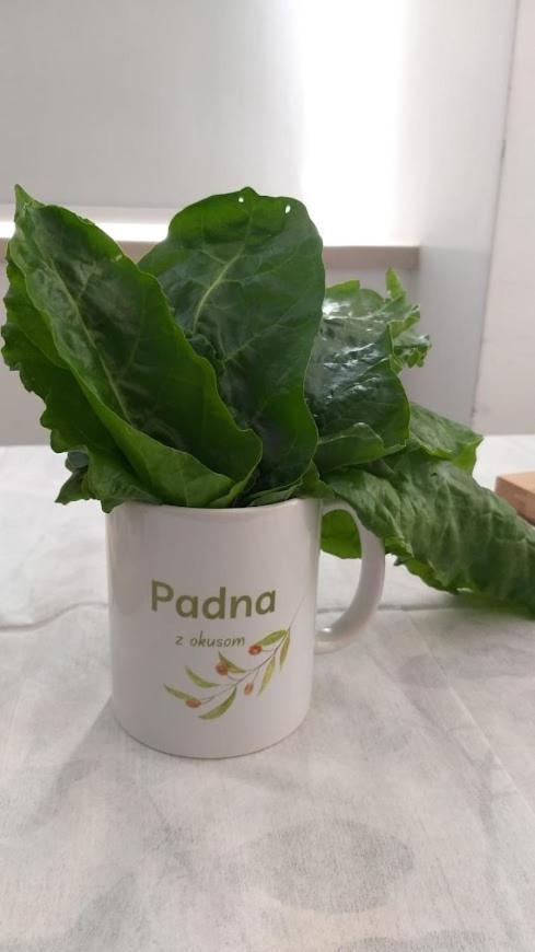 Apartments Padna Goja Zewnętrze zdjęcie